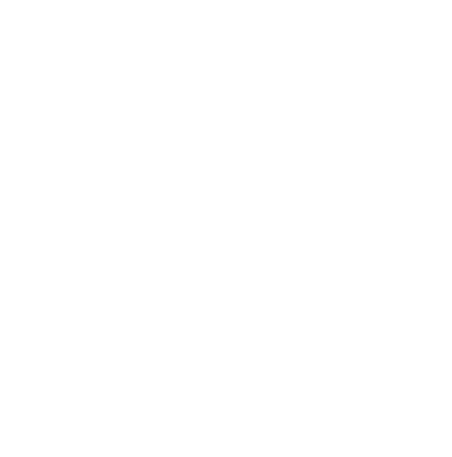 Intervenci n de la fundacion en Espa a L neas de actuaci n 2024 Proyectos de: Discapacidad intelectual Da o Cerebral ...