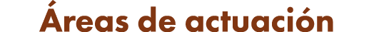  reas de actuaci n