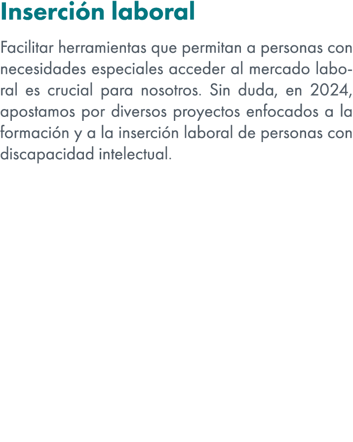 Inserci n laboral Facilitar herramientas que permitan a personas con necesidades especiales acceder al mercado labora...