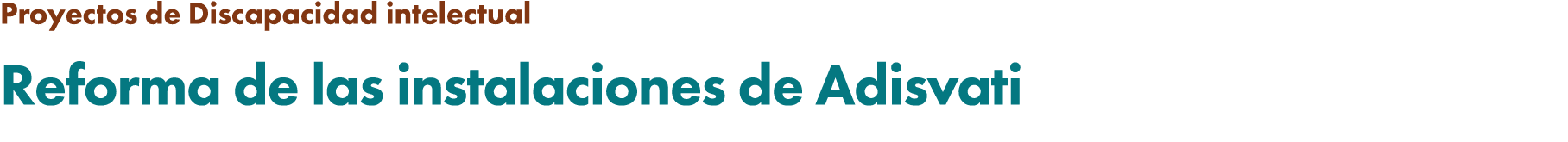 Proyectos de Discapacidad intelectual Reforma de las instalaciones de Adisvati