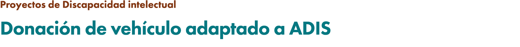 Proyectos de Discapacidad intelectual Donaci n de veh culo adaptado a ADIS