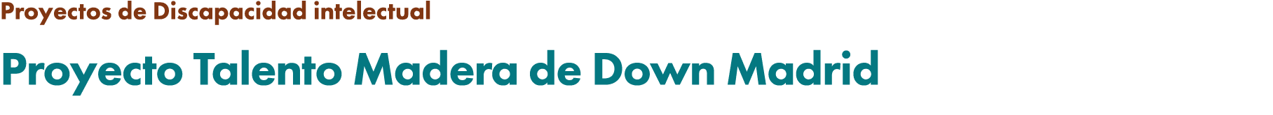 Proyectos de Discapacidad intelectual Proyecto Talento Madera de Down Madrid