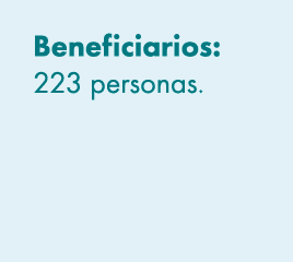 Beneficiarios: 223 personas. 