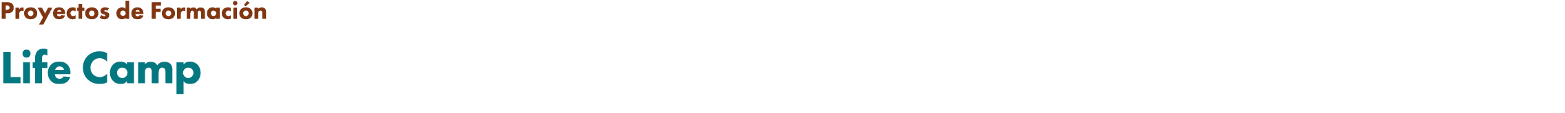 Proyectos de Formaci n Life Camp