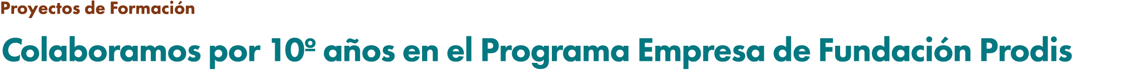 Proyectos de Formaci n Colaboramos por 10º a os en el Programa Empresa de Fundaci n Prodis