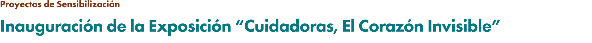 Proyectos de Sensibilizaci n Inauguraci n de la Exposici n “Cuidadoras, El Coraz n Invisible”