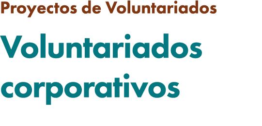 Proyectos de Voluntariados Voluntariados corporativos