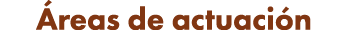  reas de actuaci n