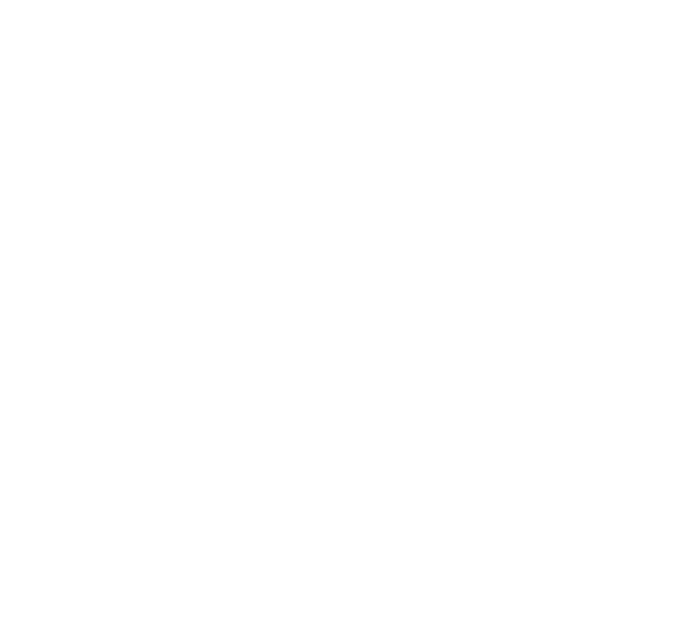 Datos globales 2024 Carta de la Presidenta Misi n Valores y principios Patronato Objetivos cumplidos 2024