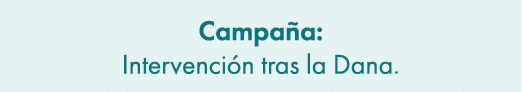 Campa a: Intervenci n tras la Dana. 