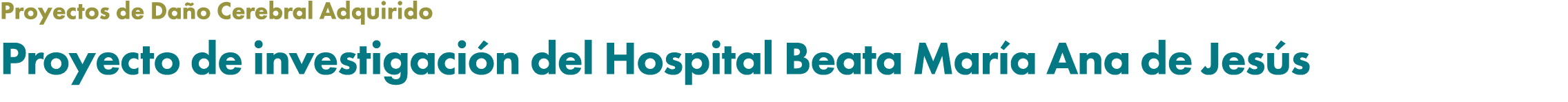 Proyectos de Da o Cerebral Adquirido Proyecto de investigaci n del Hospital Beata Mar a Ana de Jes s