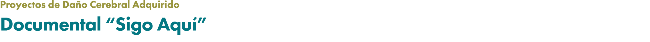 Proyectos de Da o Cerebral Adquirido Documental “Sigo Aqu ”