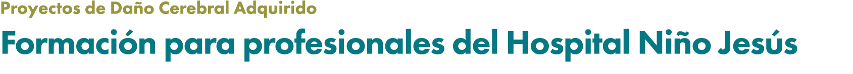 Proyectos de Da o Cerebral Adquirido Formaci n para profesionales del Hospital Ni o Jes s
