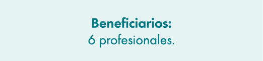 Beneficiarios: 6 profesionales. 