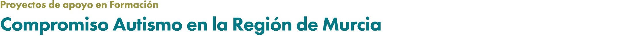 Proyectos de apoyo en Formaci n Compromiso Autismo en la Regi n de Murcia