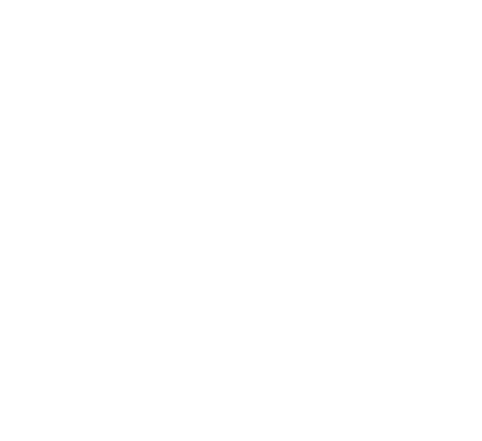 Datos globales 2025 Carta de la Presidenta Misi n Valores y principios Patronato Objetivos cumplidos 2025