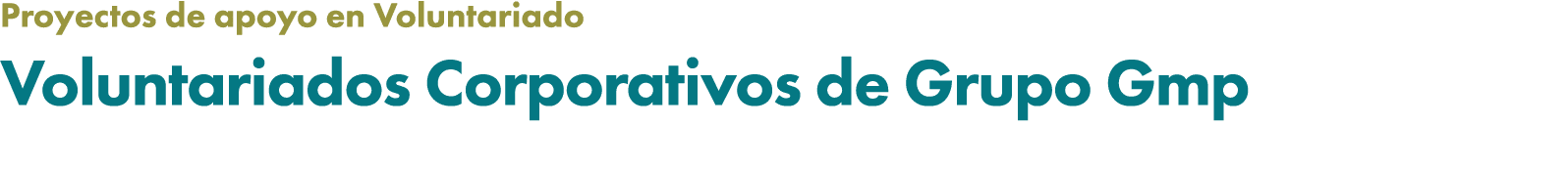 Proyectos de apoyo en Voluntariado Voluntariados Corporativos de Grupo Gmp