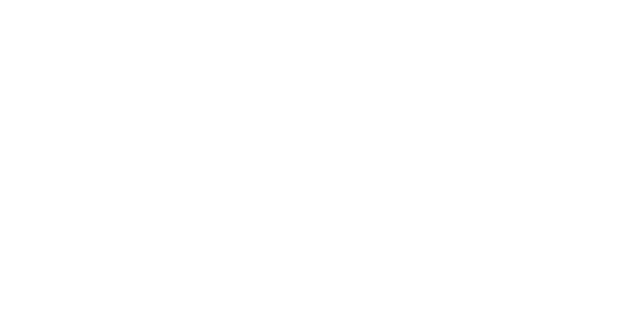 Memoria 2025