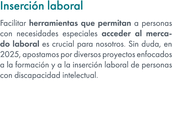 Inserci n laboral Facilitar herramientas que permitan a personas con necesidades especiales acceder al mercado labora...