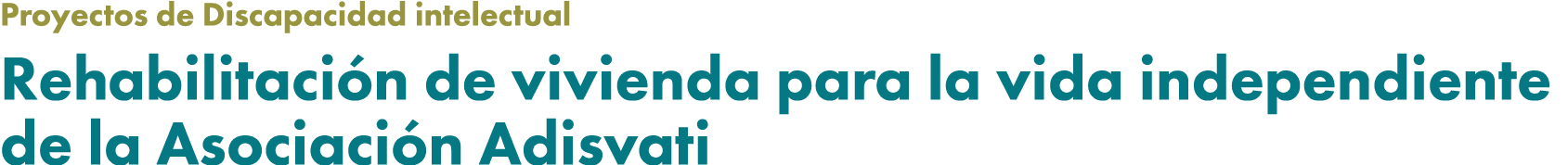 Proyectos de Discapacidad intelectual Rehabilitaci n de vivienda para la vida independiente de la Asociaci n Adisvati