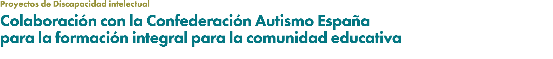 Proyectos de Discapacidad intelectual Colaboraci n con la Confederaci n Autismo Espa a para la formaci n integral par...