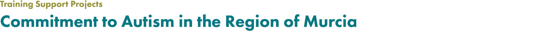 Training Support Projects Commitment to Autism in the Region of Murcia