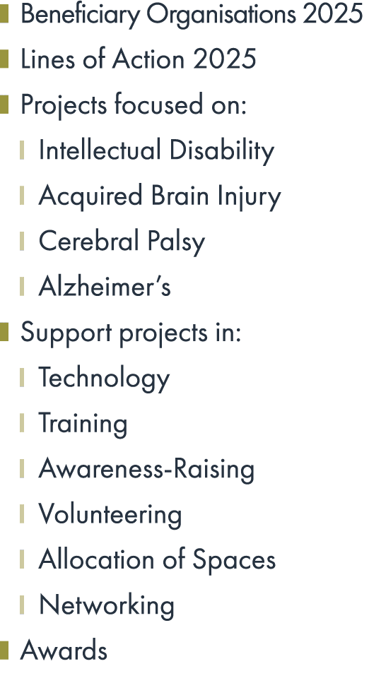 ￼ Beneficiary Organisations 2025 ￼ Lines of Action 2025 ￼ Projects focused on: ￼ Intellectual Disability ￼ Acquired B...