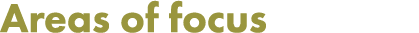 Areas of focus