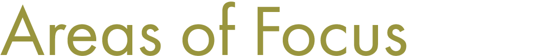 Areas of Focus