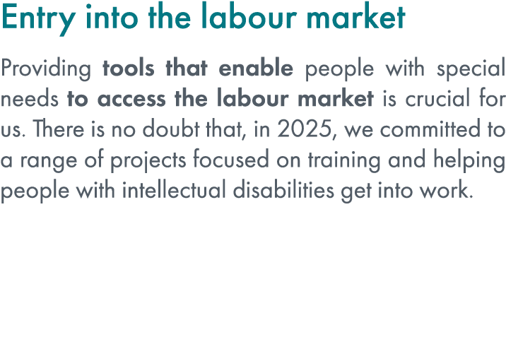 Entry into the labour market Providing tools that enable people with special needs to access the labour market is cru...
