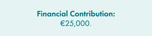 Financial Contribution: €25,000. 
