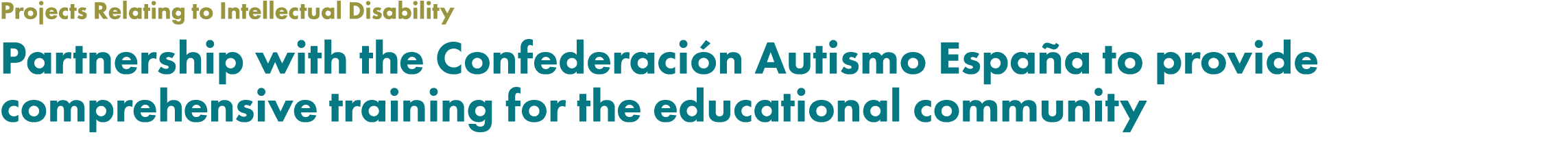 Projects Relating to Intellectual Disability Partnership with the Confederaci n Autismo Espa a to provide comprehensi...