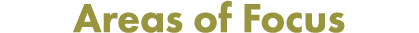 Areas of Focus