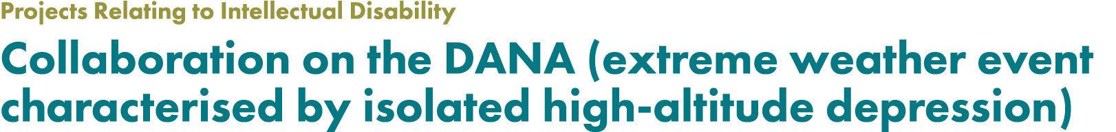 Projects Relating to Intellectual Disability Collaboration on the DANA (extreme weather event characterised by isolat...