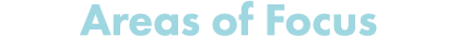 Areas of Focus