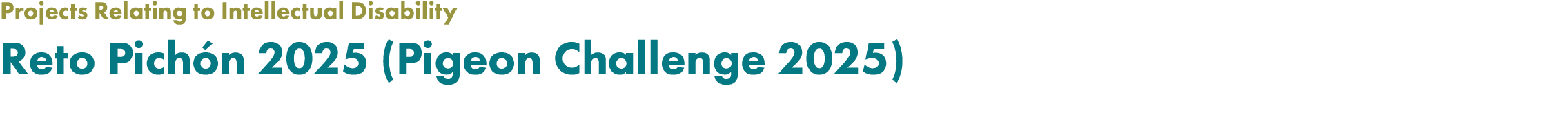 Projects Relating to Intellectual Disability Reto Pich n 2025 (Pigeon Challenge 2025) 