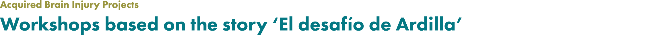 Acquired Brain Injury Projects Workshops based on the story ‘El desaf o de Ardilla’ 