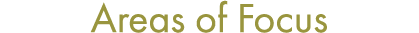Areas of Focus