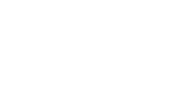 Report 2025