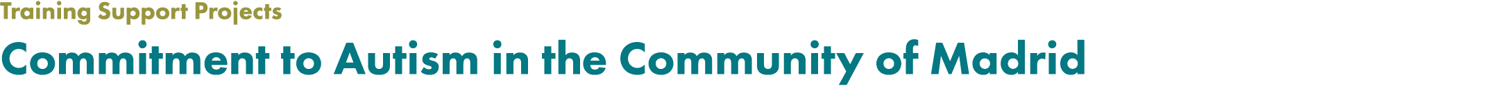 Training Support Projects Commitment to Autism in the Community of Madrid