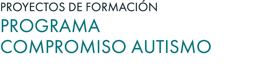 Proyectos de Formaci n Programa Compromiso Autismo 