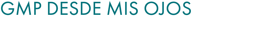Gmp Desde Mis Ojos 