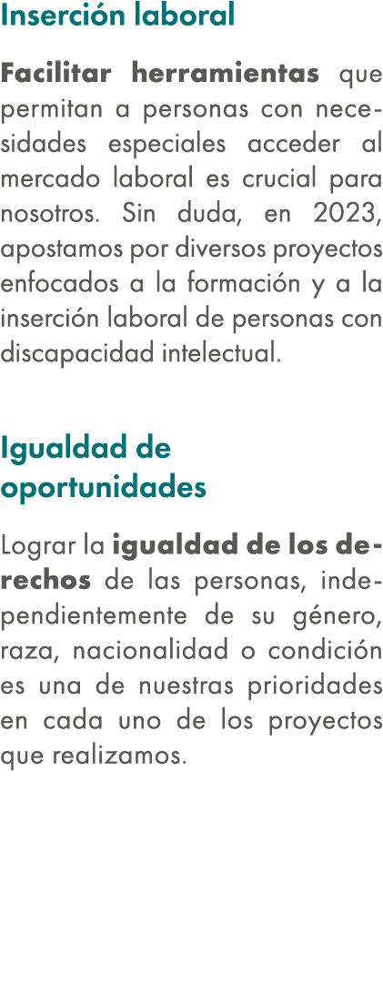 Inserci n laboral Facilitar herramientas que permitan a personas con necesidades especiales acceder al mercado labora...