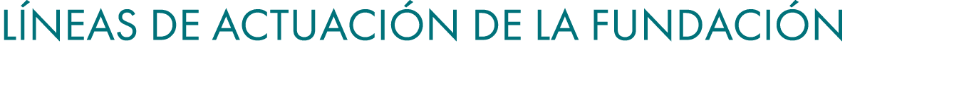 l neas de actuaci n de la FUNDACI N 