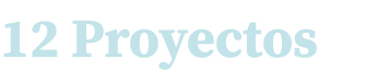 12 Proyectos 