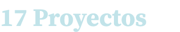 17 Proyectos 