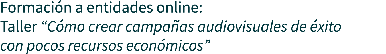 Formación a entidades online: Taller  Cómo crear campañas audiovisuales de éxito con pocos recursos económicos 
