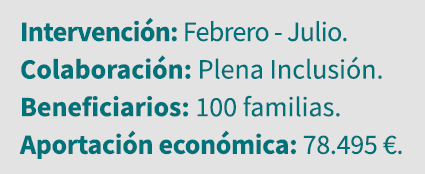 Intervención: Febrero - Julio  Colaboración: Plena Inclusión  Beneficiarios: 100 familias  Aportación económica: 78 4   