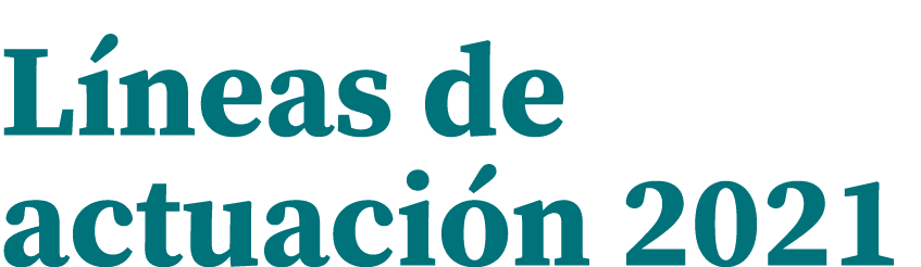 Líneas de actuación 2021