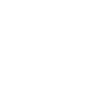 ONGs beneficiadas dedicadas al da o cerebral adquirido.,